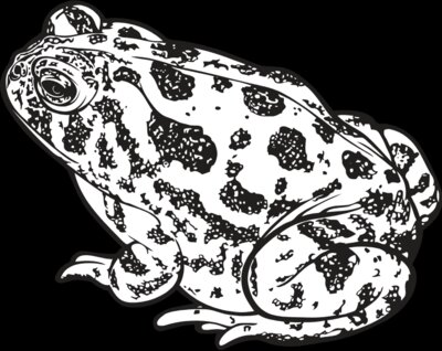 Toad1NC2bw