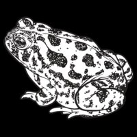 Toad1NC2bw