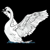 Swan1NC2clr