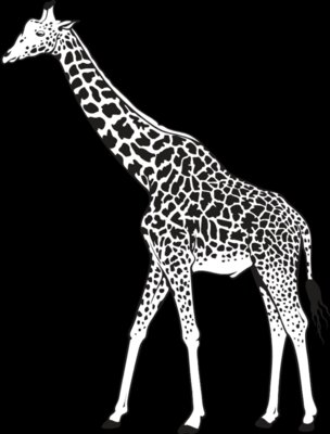 Giraffe01NC2bw