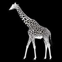 Giraffe01NC2bw