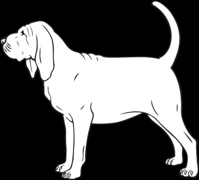 Bloodhound01NC2bw