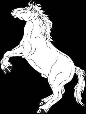 HORSE11