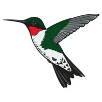 Hummingbird01NC2clr