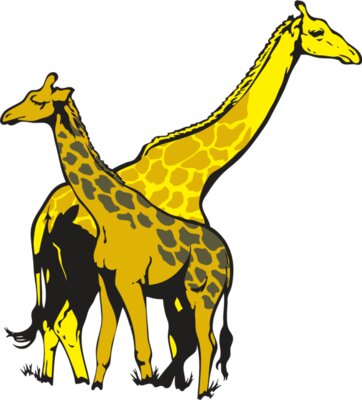 giraffe02NC2clr