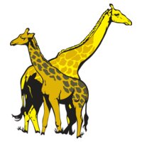 giraffe02NC2clr