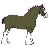 Clydesdale01NC2clr
