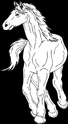 HORSE10