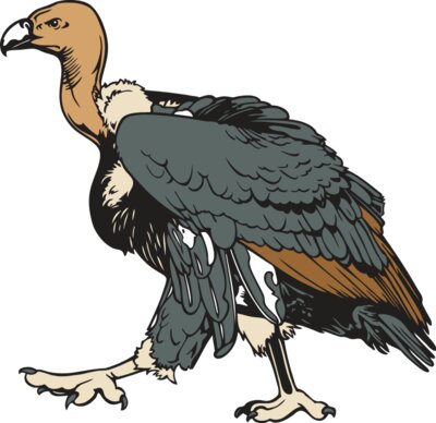 Vulture1NC2clr