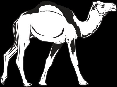 Camel02NC2bw