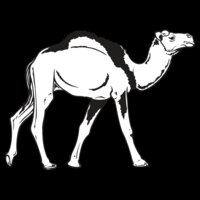 Camel02NC2bw