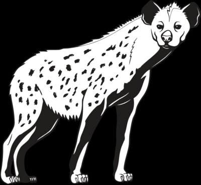 Hyena01NC2bw