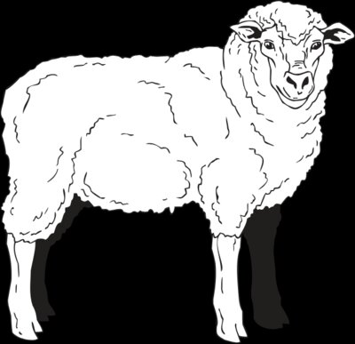 SHEEP2