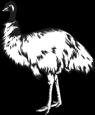 Emu01NC2bw