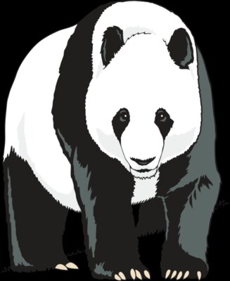 Panda01NC2clr