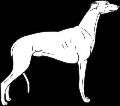 Greyhound01NC2bw