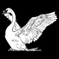 Swan1NC2bw