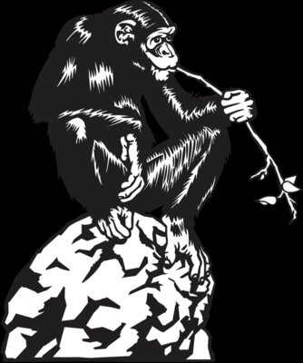 Chimpanzee01NC2bw