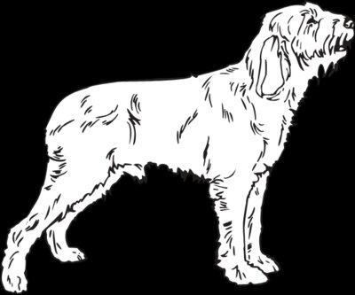 SPINONE 