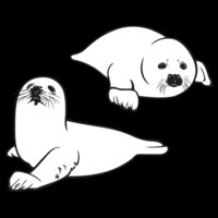 Seals1NC2bw
