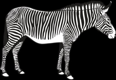 Zebra01NC2bw