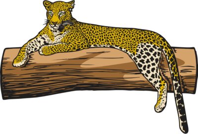 Leopard1NC2clr