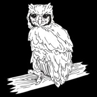 OWL3