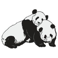 Panda02NC2clr