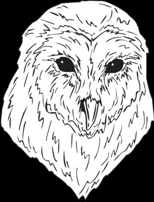 BARN OWL
