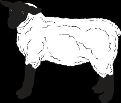 SHEEP3