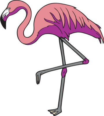 Flamingo01NC2clr