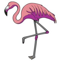 Flamingo01NC2clr
