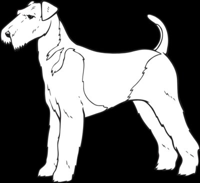 Airedale01NC2bw