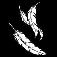 ES2feathers001bw