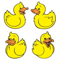 Ducks01NC2clr