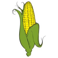 Corn02NC2clr