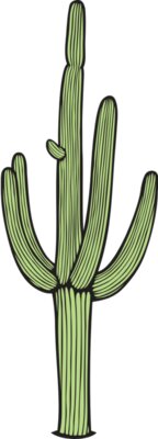 Saguaro01NC2clr
