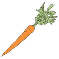 Carrot01NC2clr