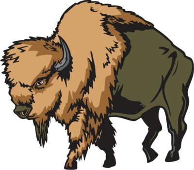 buffaloM10