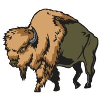 buffaloM10