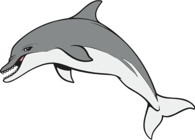Dolphin06V4clr