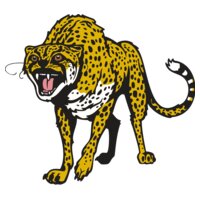 cheetah01V4clr