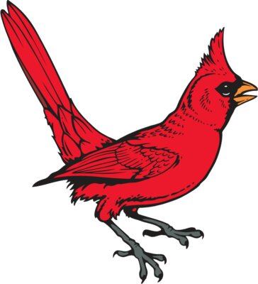 Cardinal04V4clr