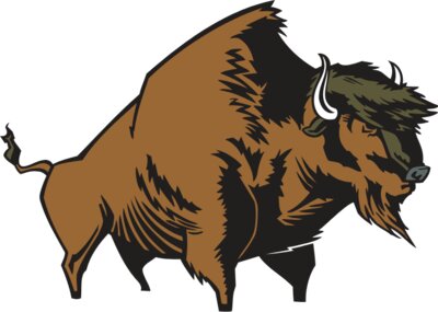 buffalo04V4clr