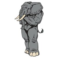 elephant04