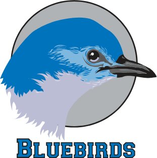 bluebird33040870