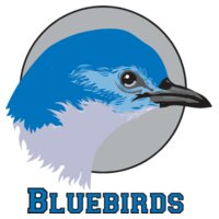 bluebird33040870