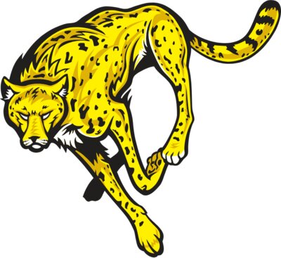 Cheetahj021