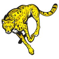 Cheetahj021