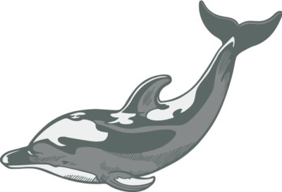 Dolphin01V4clr